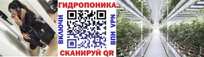 маркетплейс формула Белорецк Каннабис OG Kush